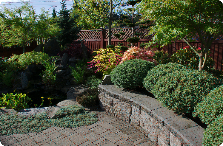 Japanese garden with stone path and foliage.